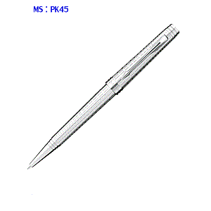 Viết lông bi Parker Premier 09 DLX Silver CT